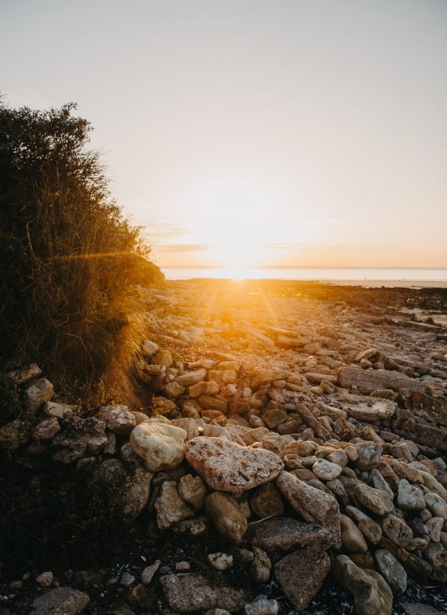 famille-pauline-marine-szczepaniak-054